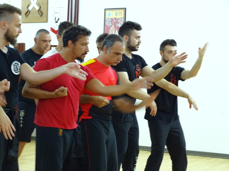 Kung Fu Academy di Sifu Mezzone Caserta Seminario di Weng Chun Tang Yik con GM Sunny So in Italia presso la scuola di arti marziali di wing chun e kung fu a Caserta (2)